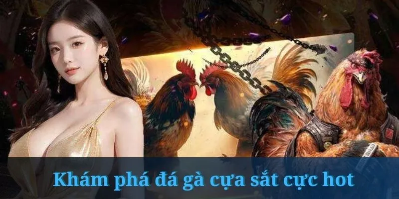 đá gà cựa sắt